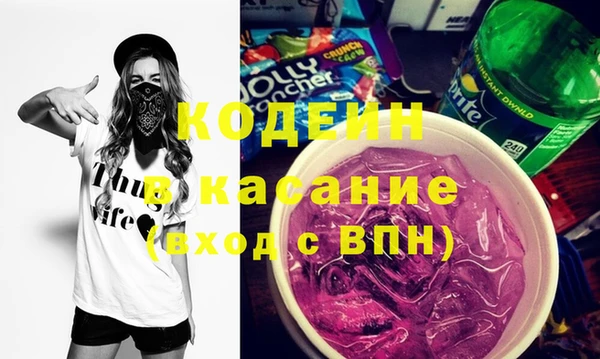 индика Зеленодольск