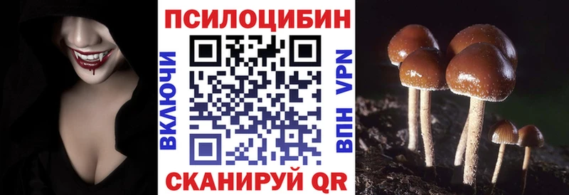 Купить  Старая Купавна  Псилоцибиновые грибы Magic Shrooms 